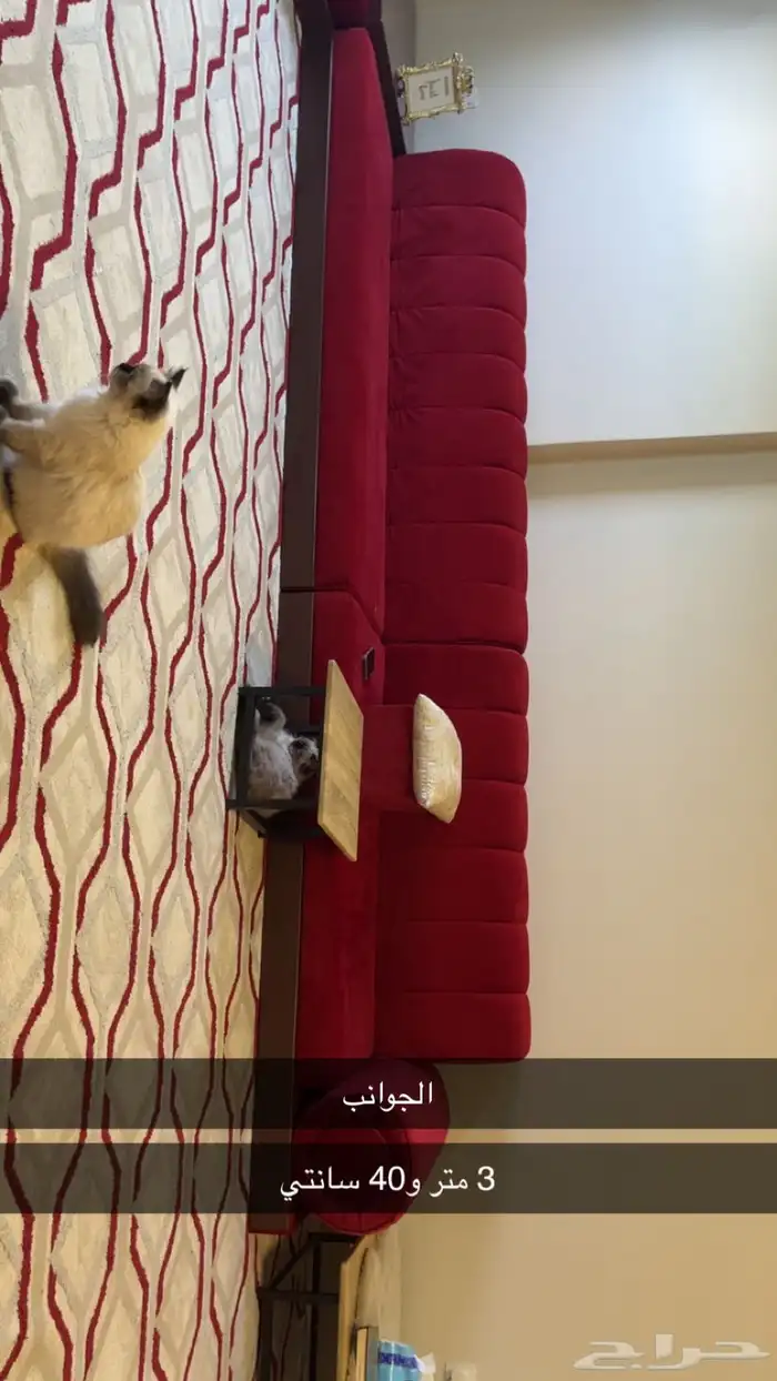 جلسه شبه جديده 6