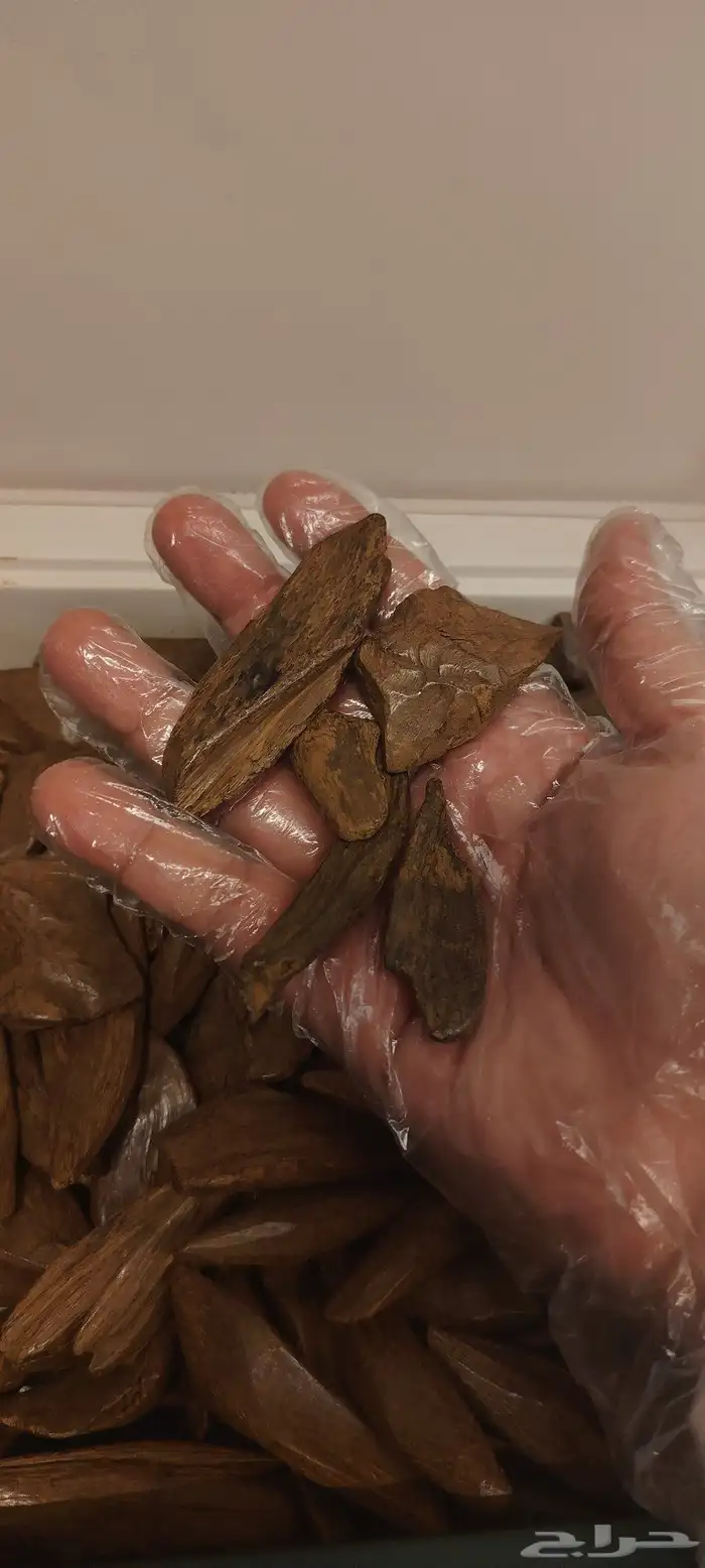 مروكي طبيعي محسن بيور ميلينيوم بلس 1