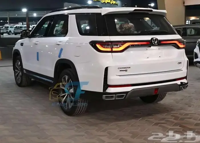 شانحان CS95 كلاسيك 2026 4