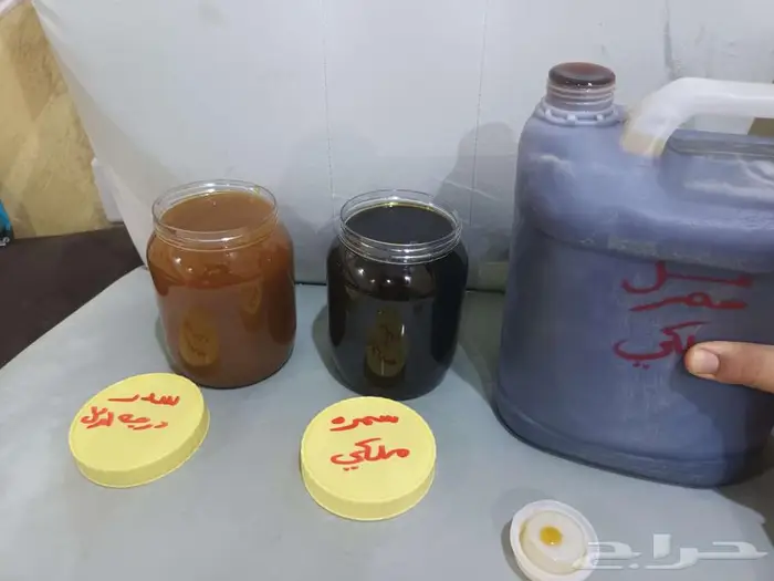 جده حي الشفا 0