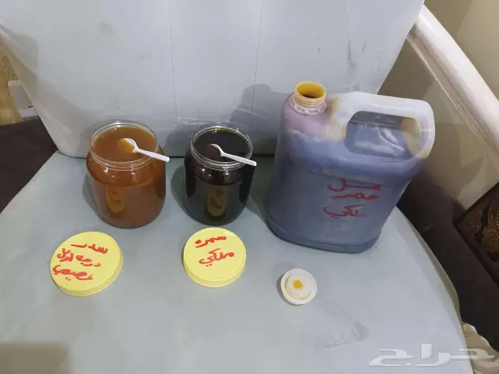 جده حي الشفا 1