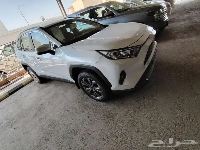 رافوف LXE دبل موديل 2025 حبه فقط ابيض لؤلؤي 10