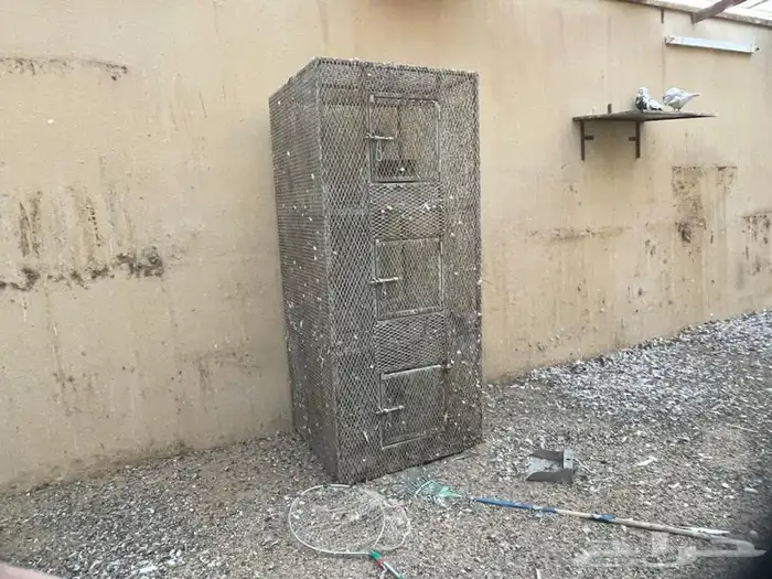 شبك حمام 1