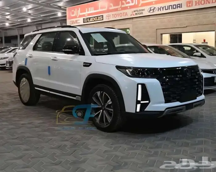 شانحان CS95 كلاسيك 2026 1