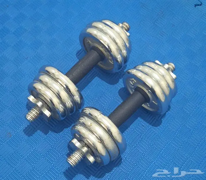 دنابل 15 كيلو 1