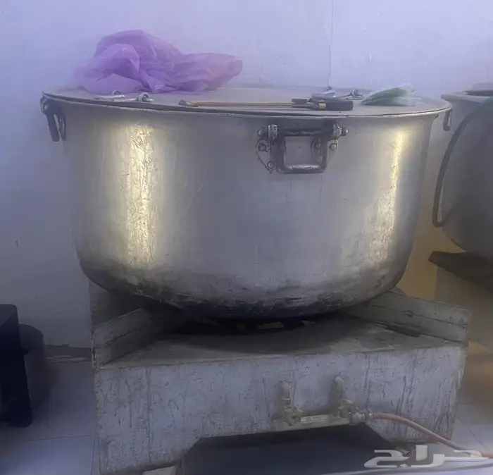 شولة قز كبير 0