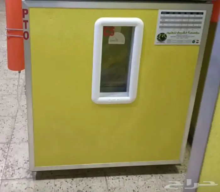 دجاج باكستاني 6