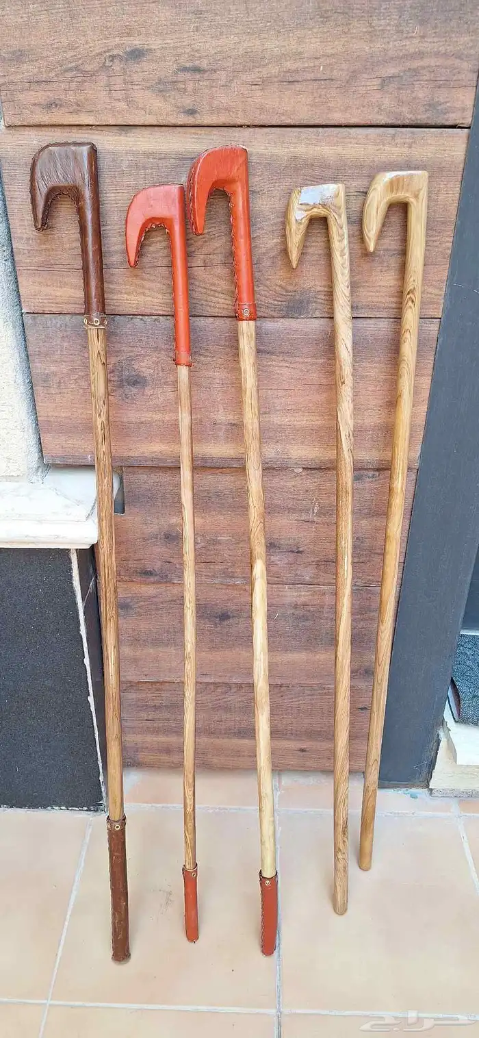 عصي من شجرة الزيتون 0