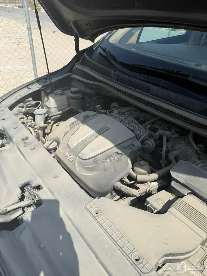 كارنيفال 2019 0