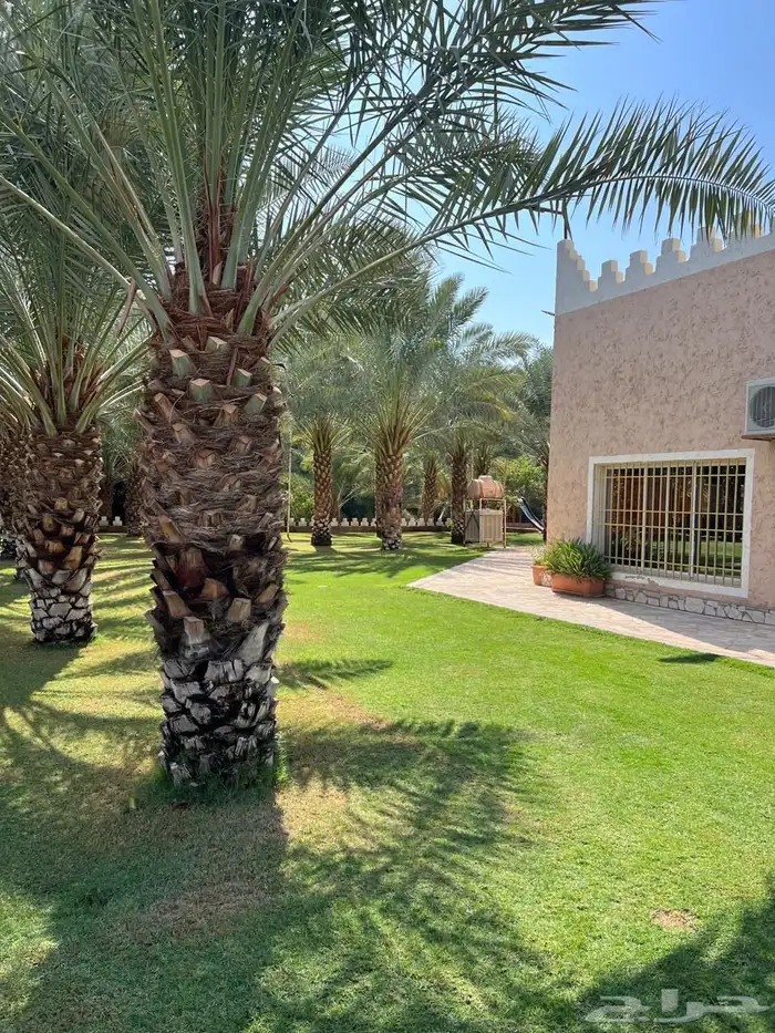 مزرعة ريم الريفية للبيع   الخرج   الدلم 3