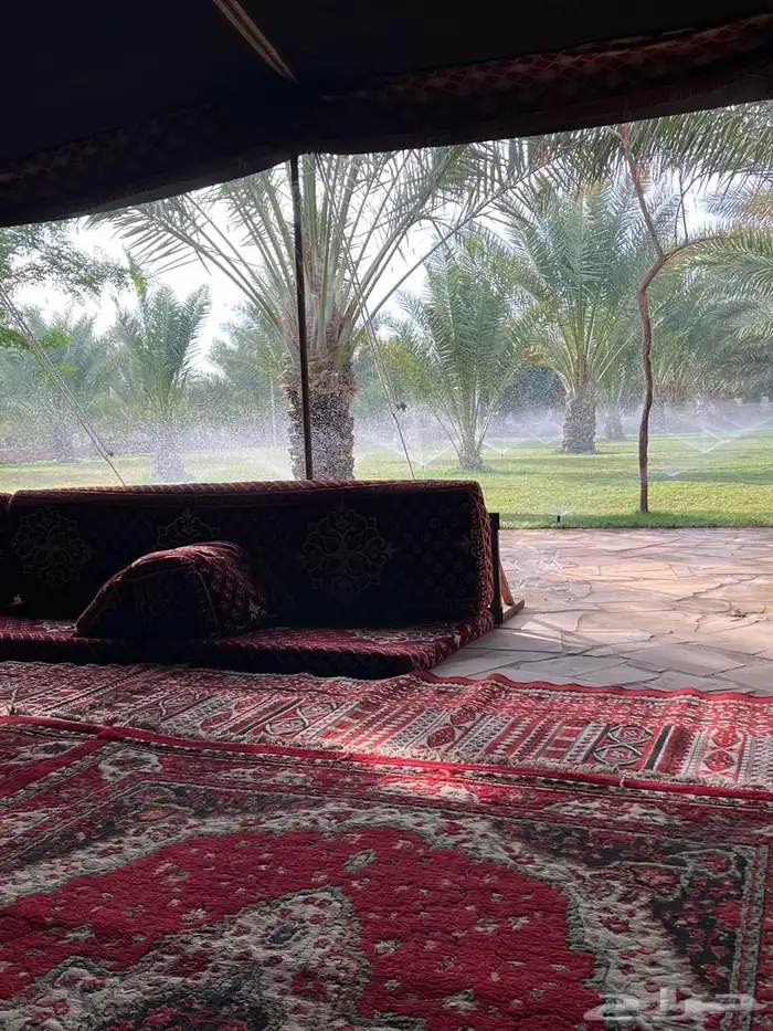 مزرعة ريم الريفية للبيع   الخرج   الدلم 4
