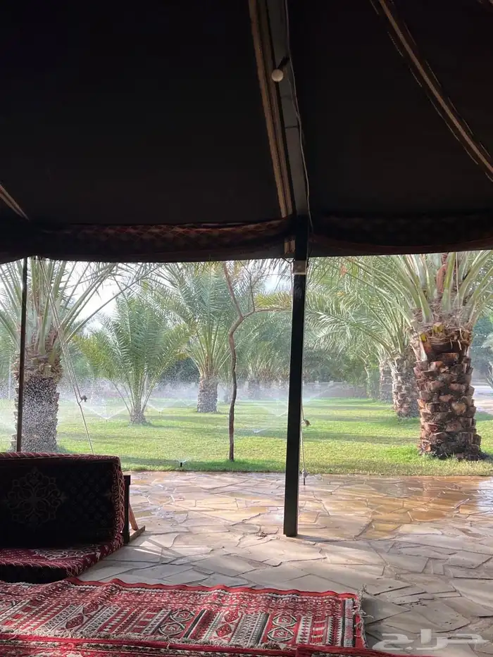مزرعة ريم الريفية للبيع   الخرج   الدلم 5