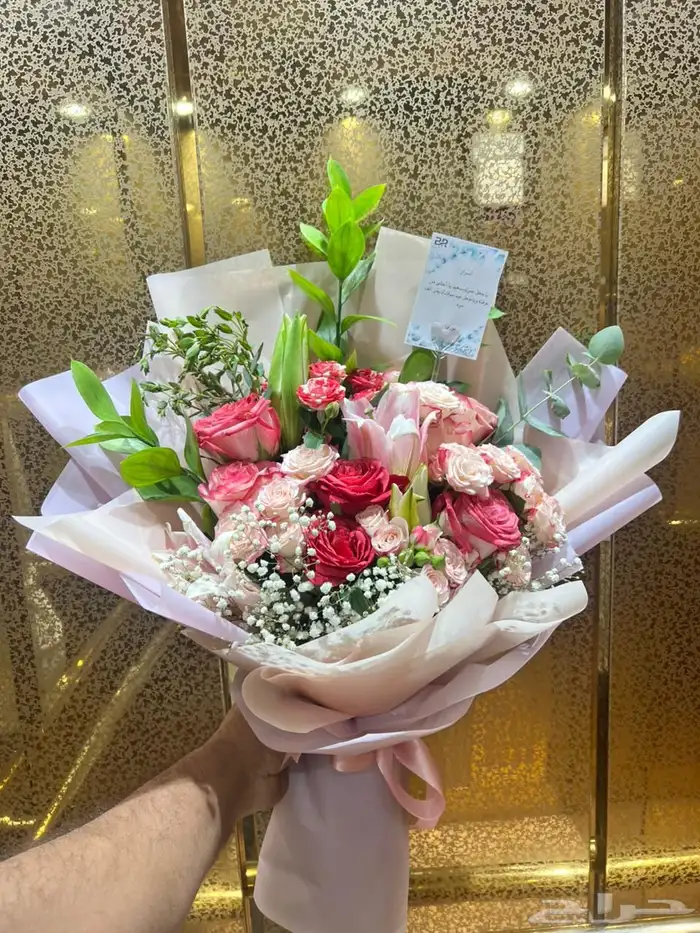 https   maps.app.goo.gl hpED9NPyrjjG7xEz7 g_st ic 97