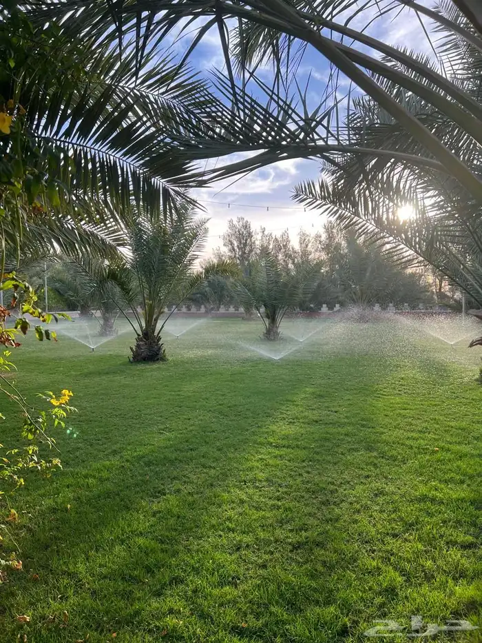 مزرعة ريم الريفية للبيع   الخرج   الدلم 10