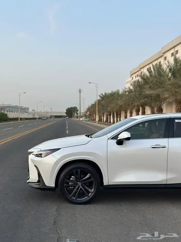 لكزس NX350 2024 شبة جديدة 6