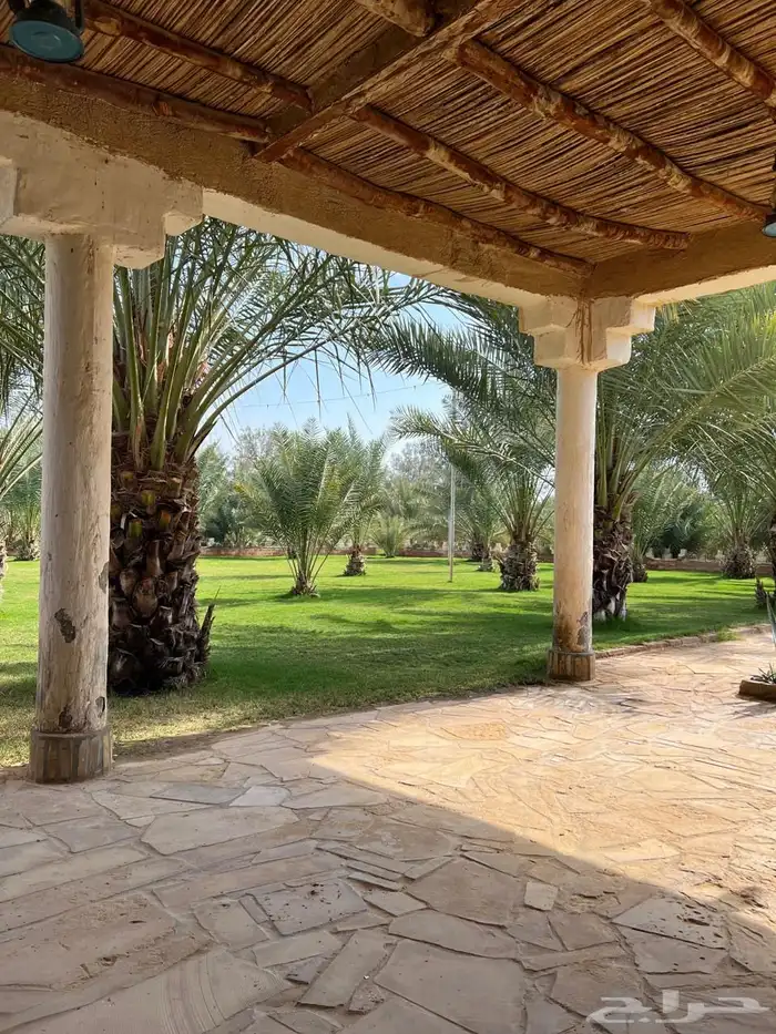 مزرعة ريم الريفية للبيع   الخرج   الدلم 8