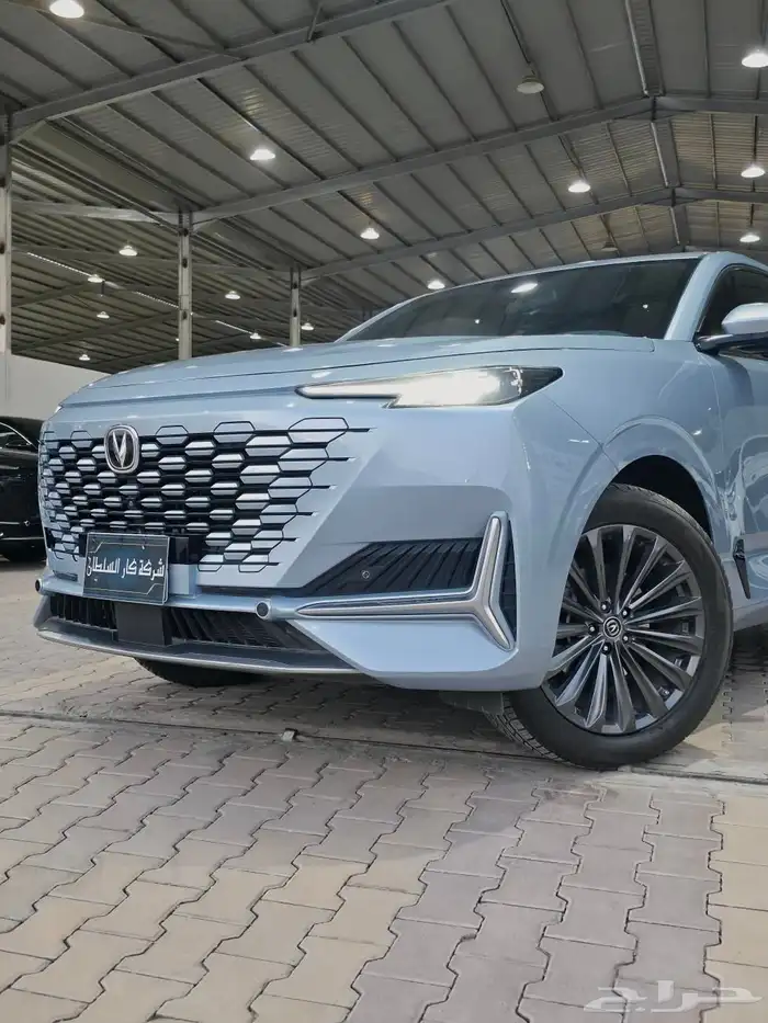 شانجان - يوني كي - 2023 - 6