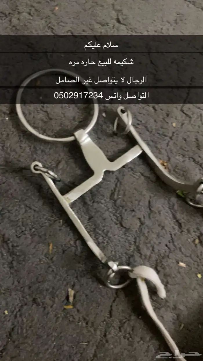 شكيمه للبيع حاره مره 0