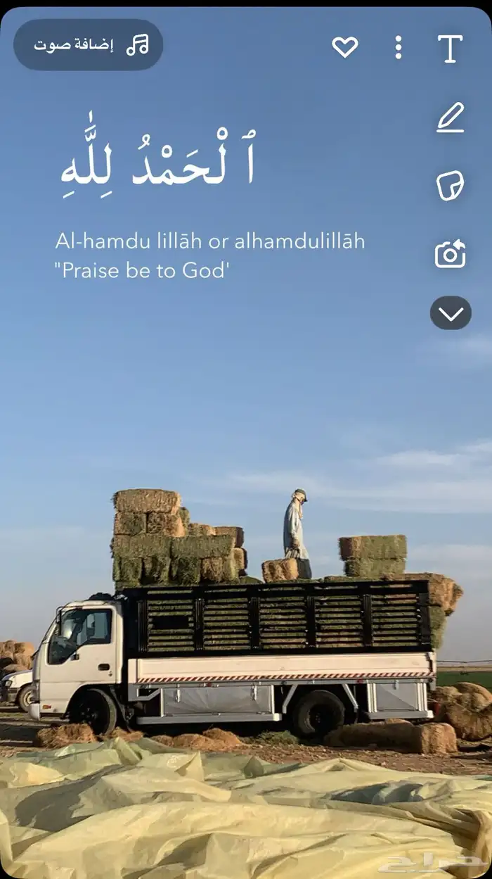 نقل عفش دنا جميع انحاء المملكه 0