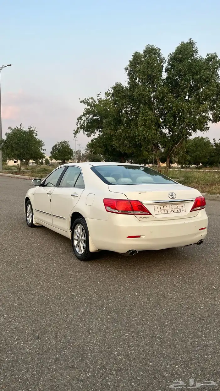اوريون 2010 1