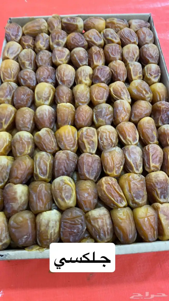تمر مكنوز اخلاص ونان شقراء ام كبار سكري 4
