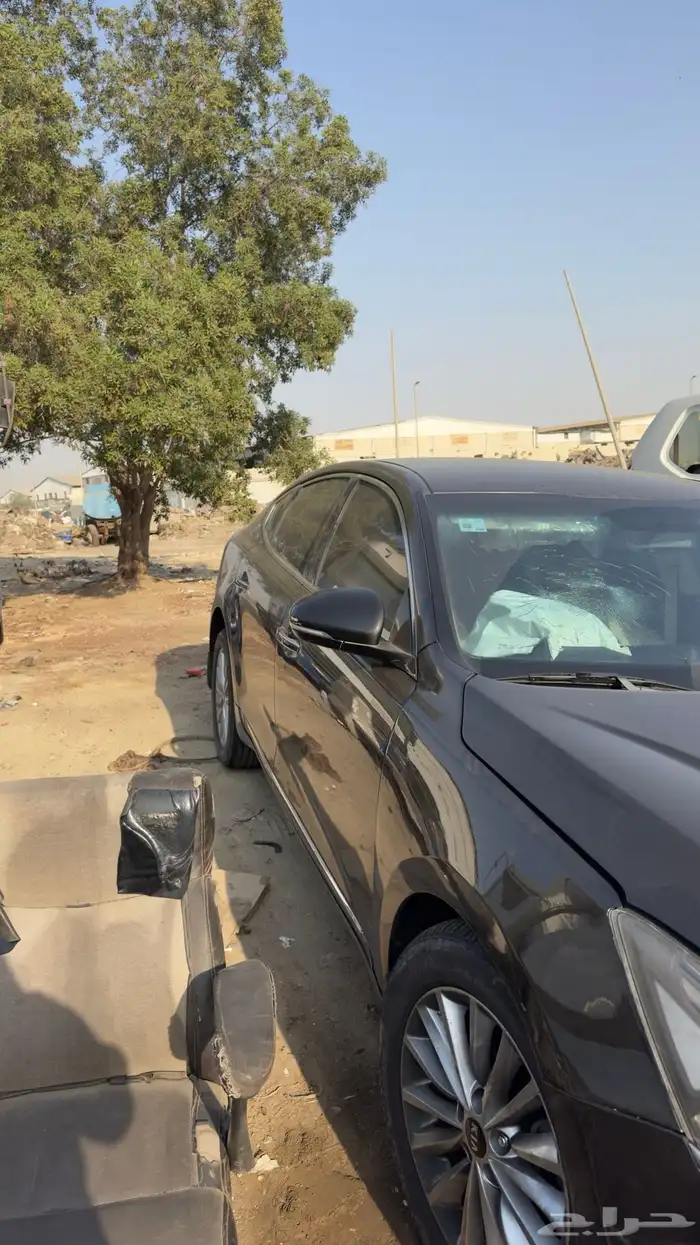 كادنزا 2018 9