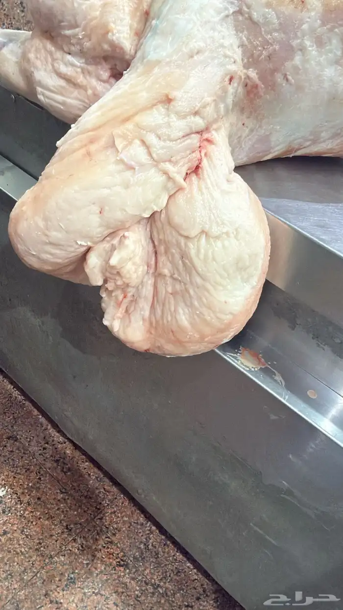 عروض بأرخص الاسعار واللحم بلدي ومستورد 2