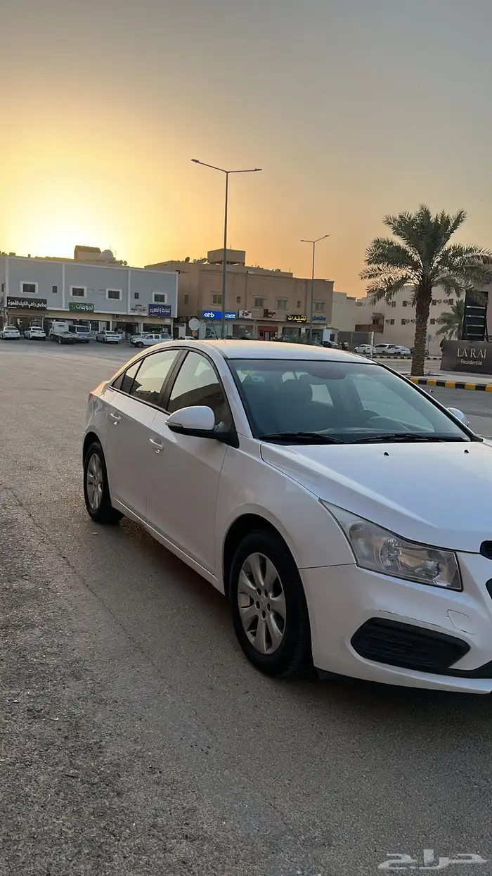 كروز 2017 3