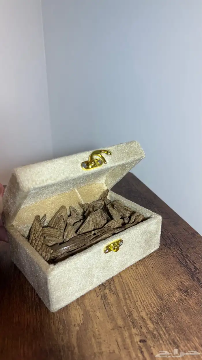 عود كلمنتان ثمن كيلو 1