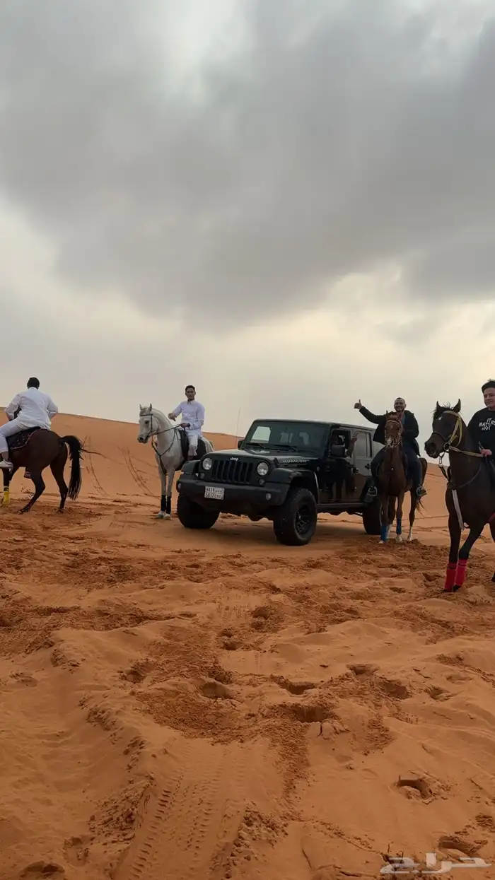 ايواء خيل1000 3