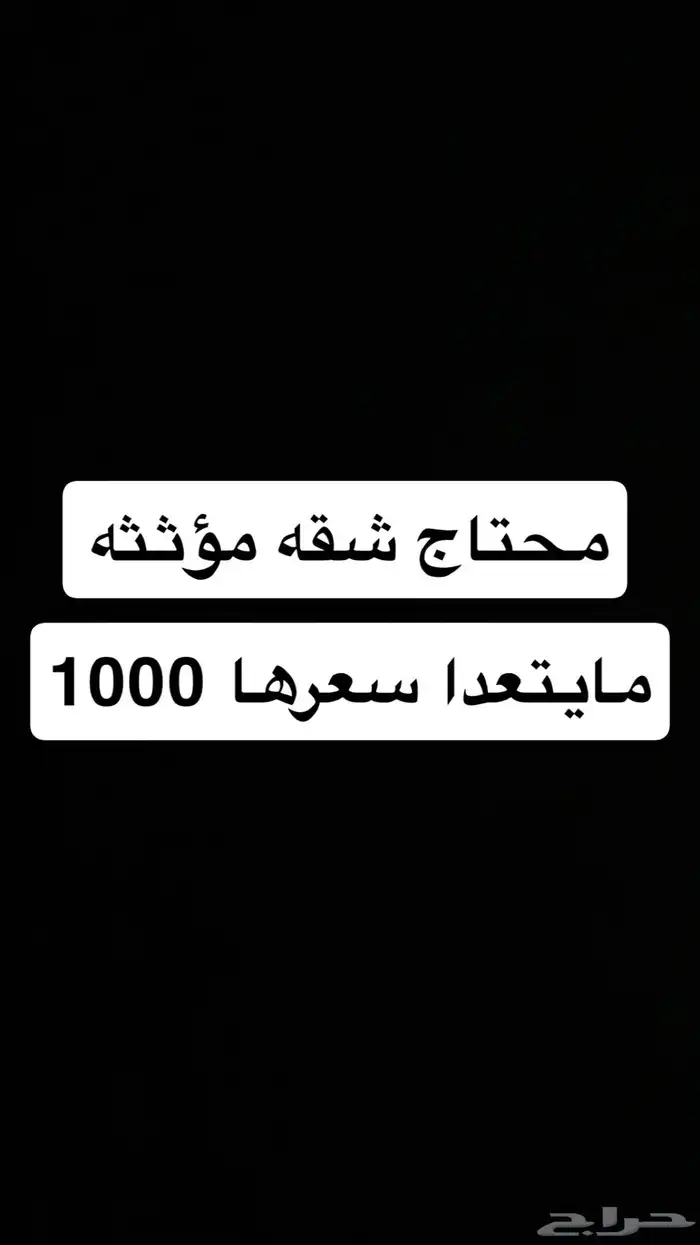 شقه اجار ما تعدا الف 0