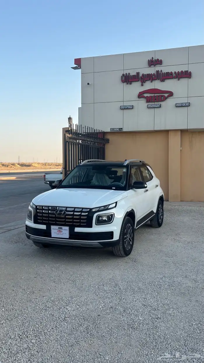 فينو 2023 1