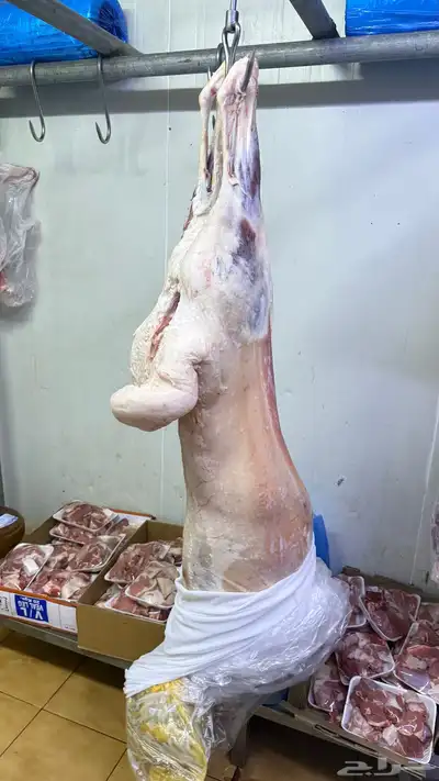 عروض بأرخص الاسعار واللحم بلدي ومستورد index