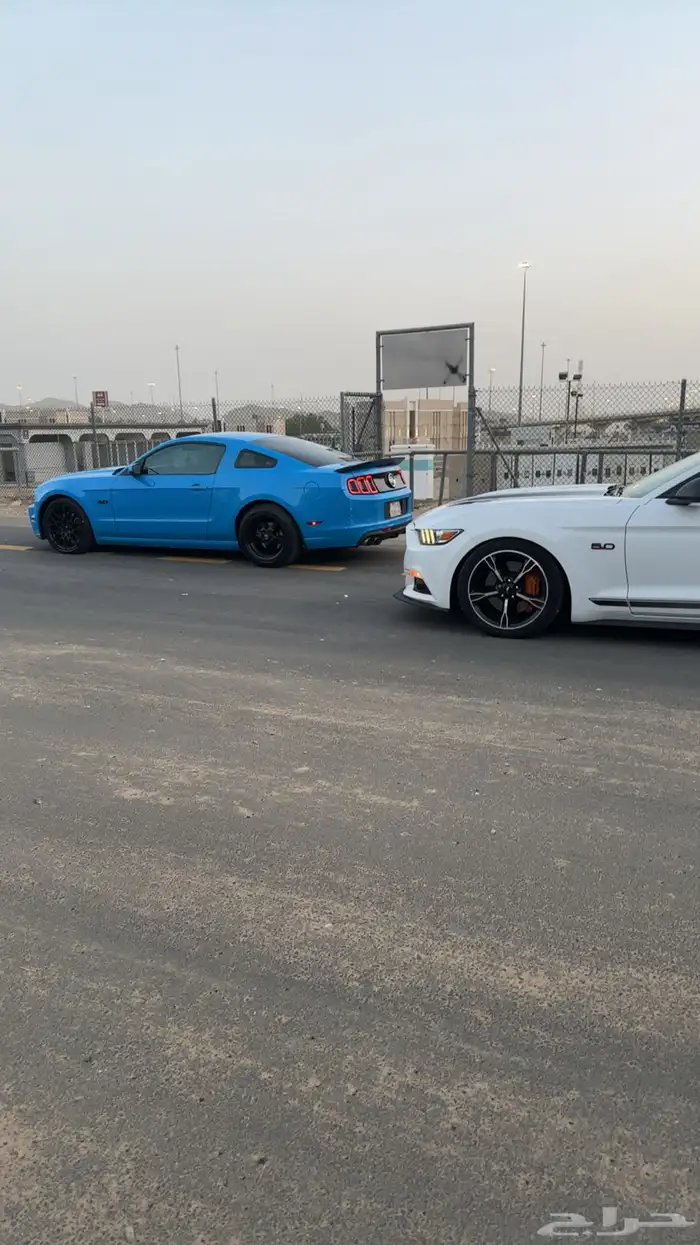 فورد موستنج جي تي 2013 1