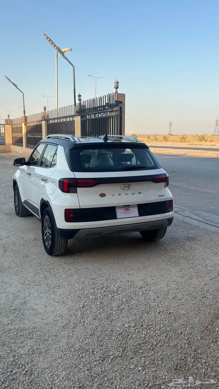 فينو 2023 5