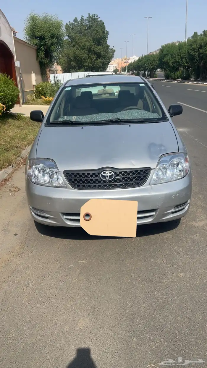 كوريلا 2004 11