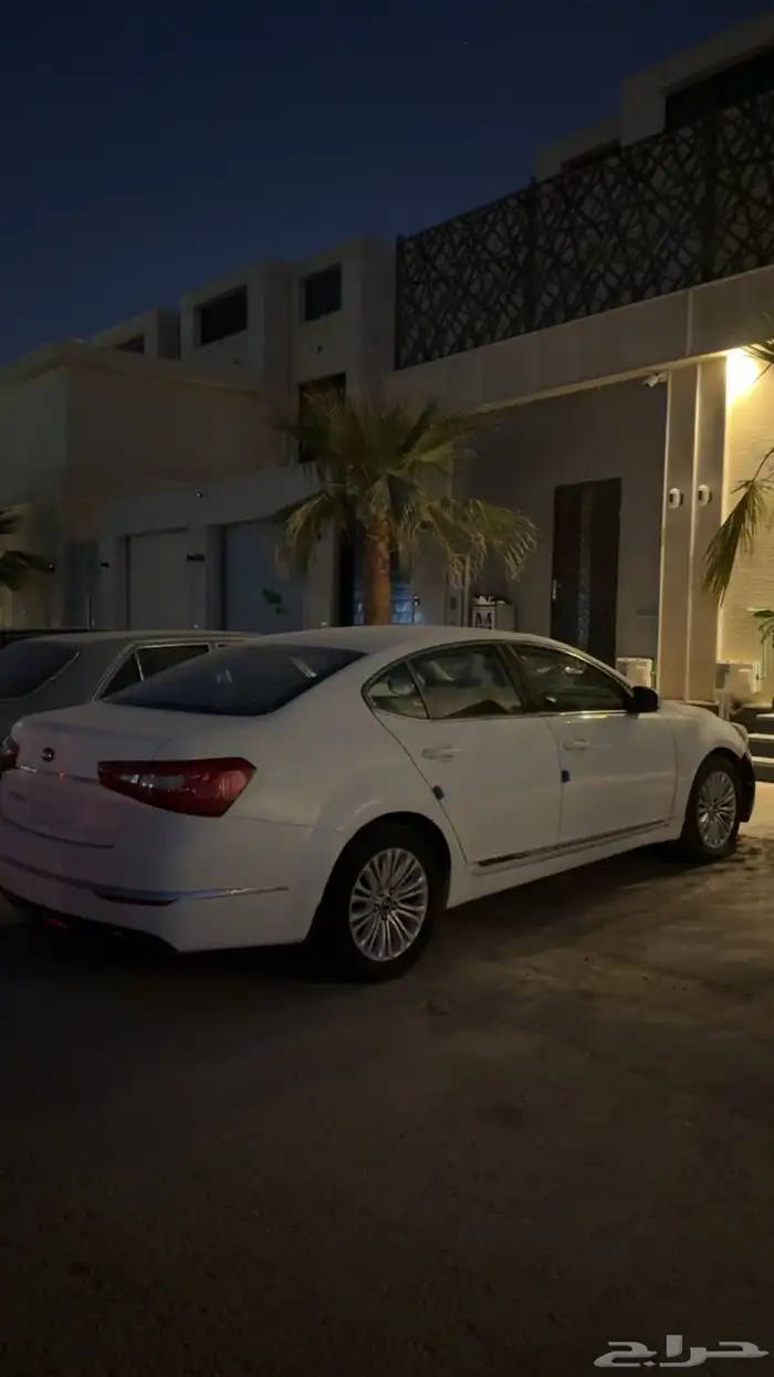 كادينزا 2015 7