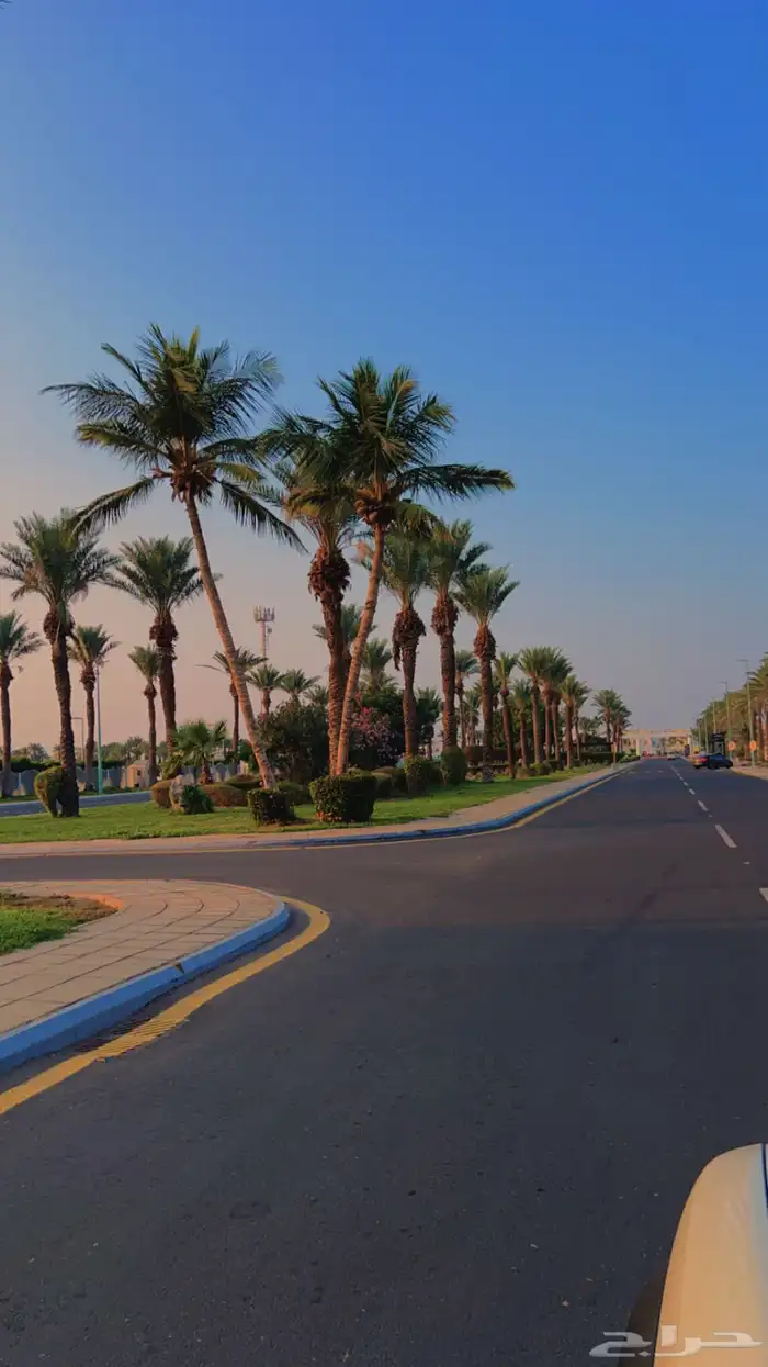 شاليهات في درة العروس للإيجار 13