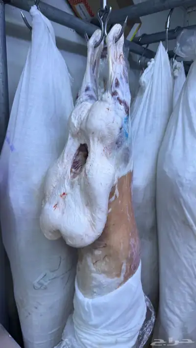 عروض بأرخص الاسعار واللحم بلدي ومستورد index