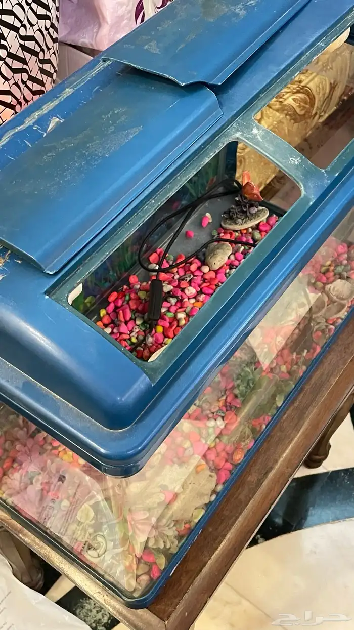 حوض سمك 2