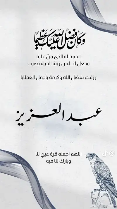 محتاج. مشاية او عربية اطفال لوجه الله 0