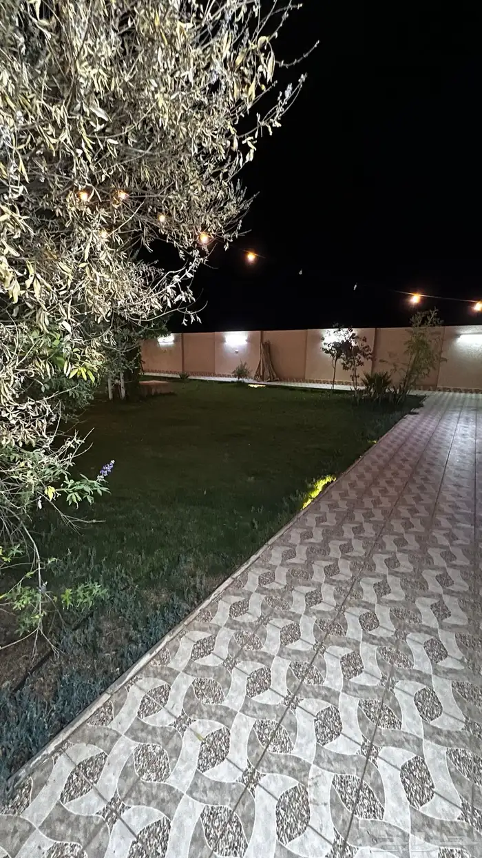 استراحة شباب اجار يومي فقط 6