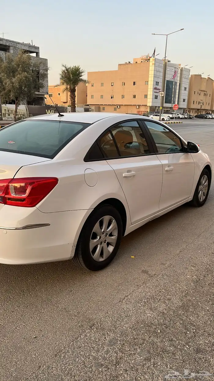 كروز 2017 2