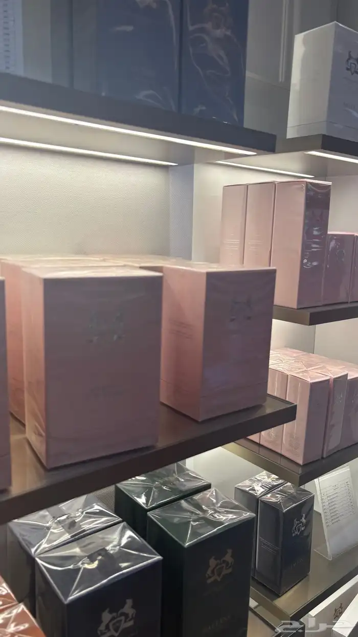 عطر دي مارلي ديلينا اكسكلوسف الاصلية 0