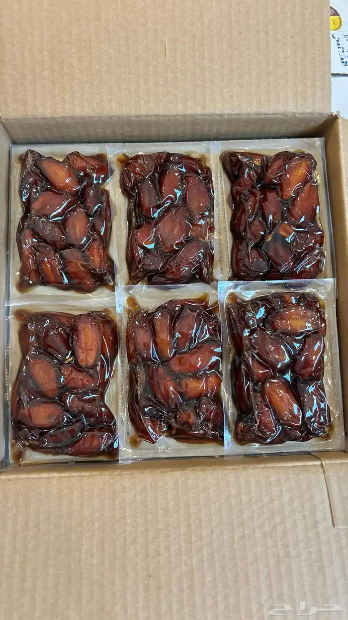 الدمام والخبر 4