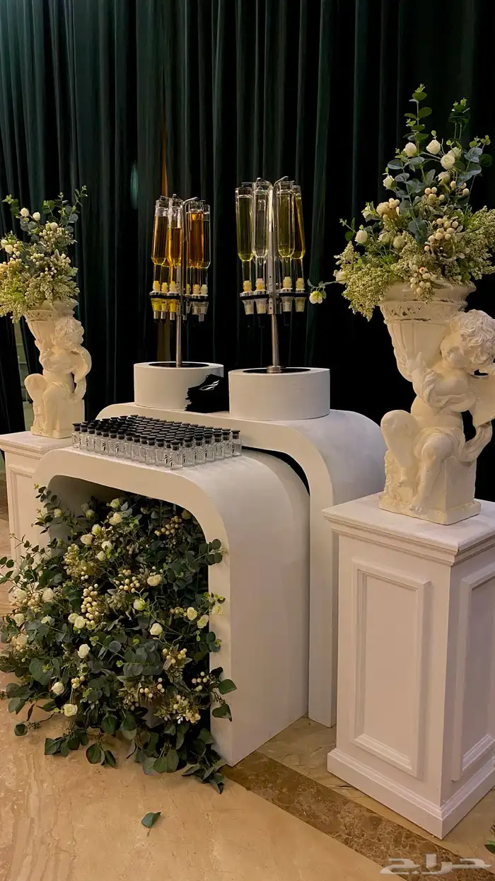 مصورة جوال احترافي 2