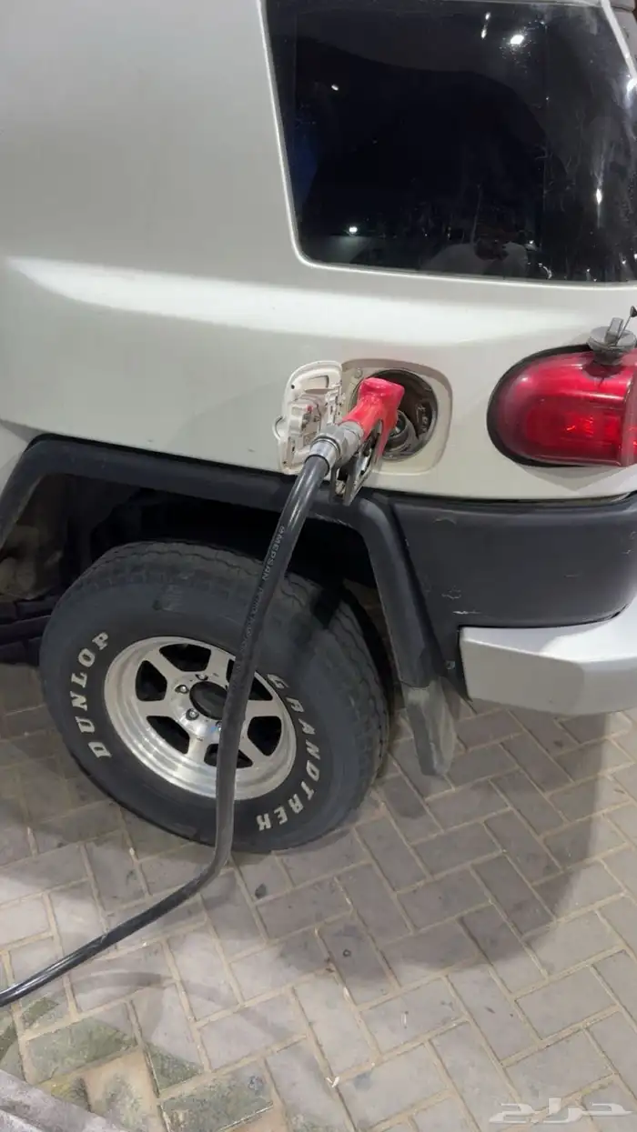 أفجي 2013 7