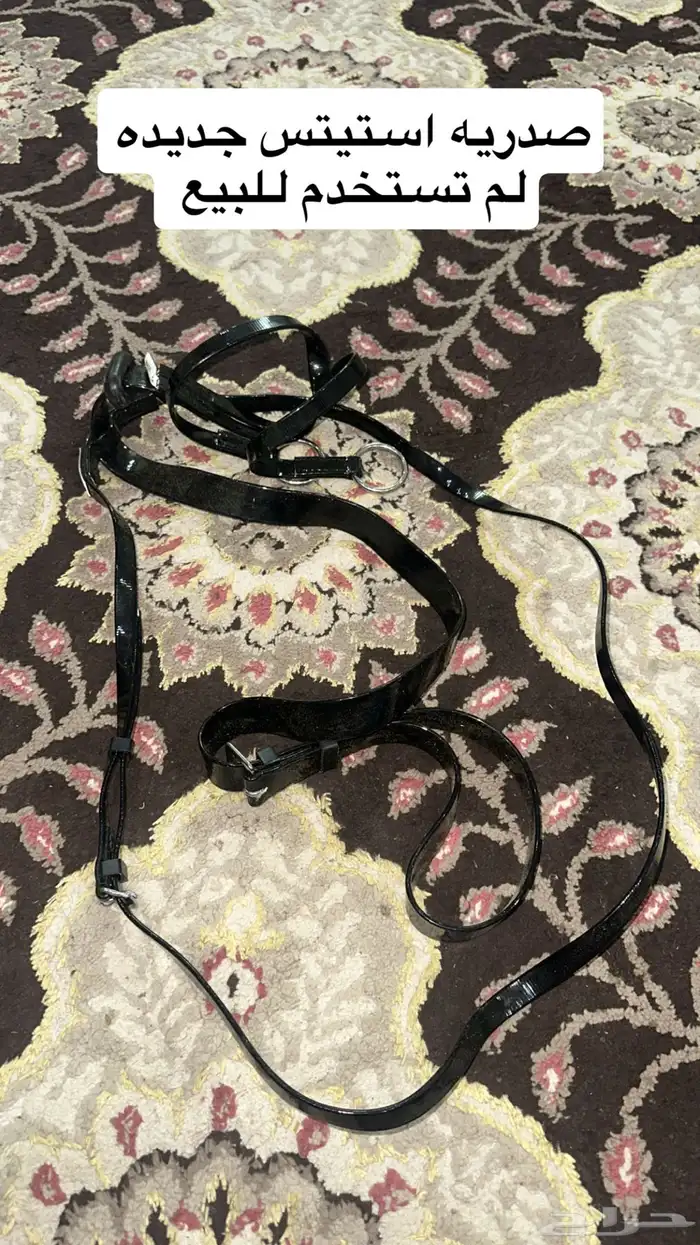 سدريه خيل استيتس جديده 0
