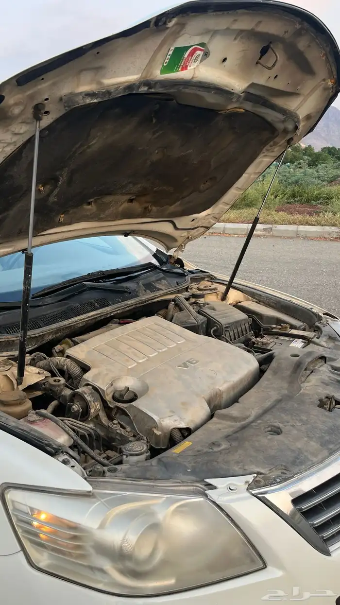 اوريون 2010 16