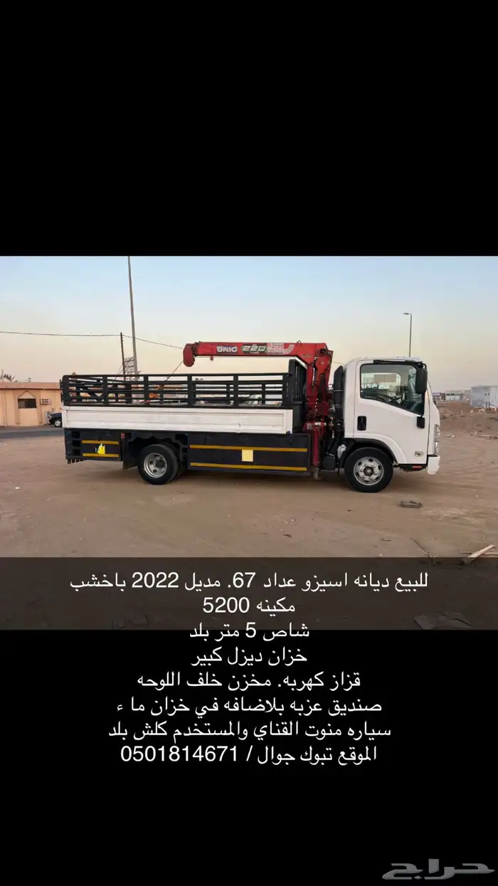 ديانه ايسوز باخشب 0